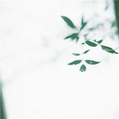 卫海战争手游下载